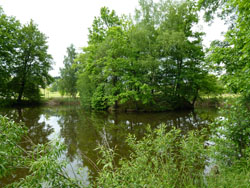 Inselteich